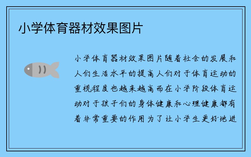 小学体育器材效果图片